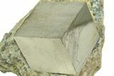Natural Pyrite Cube In Rock - Navajun, Spain #211394-1